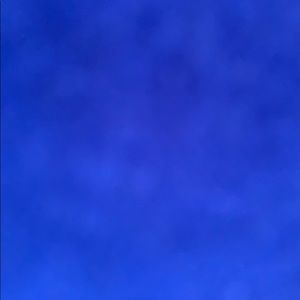 Meet your Posher, Bruce